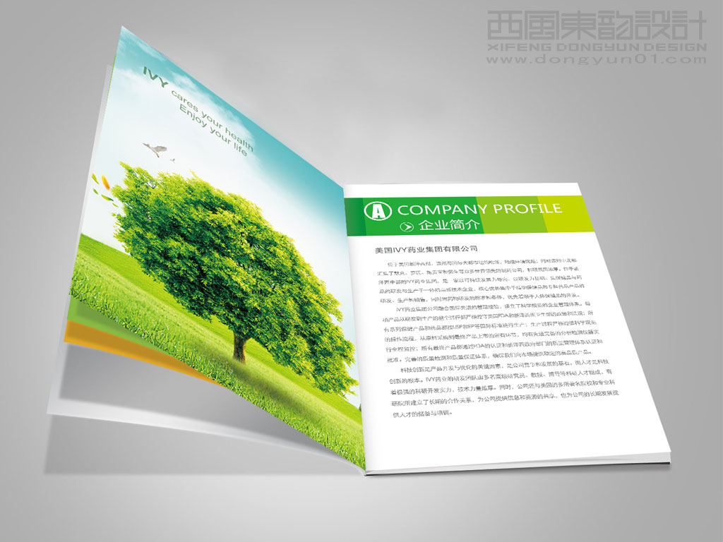 IVY Pharma Group 制藥集團(tuán)保健品產(chǎn)品招商手冊設(shè)計(jì)之產(chǎn)品手冊內(nèi)頁設(shè)計(jì)