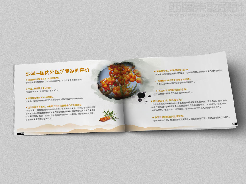 寧波市雷瑞商貿(mào)公司棘行天下產(chǎn)品手冊設(shè)計(jì)之國內(nèi)外醫(yī)學(xué)專家的評價內(nèi)頁設(shè)計(jì)