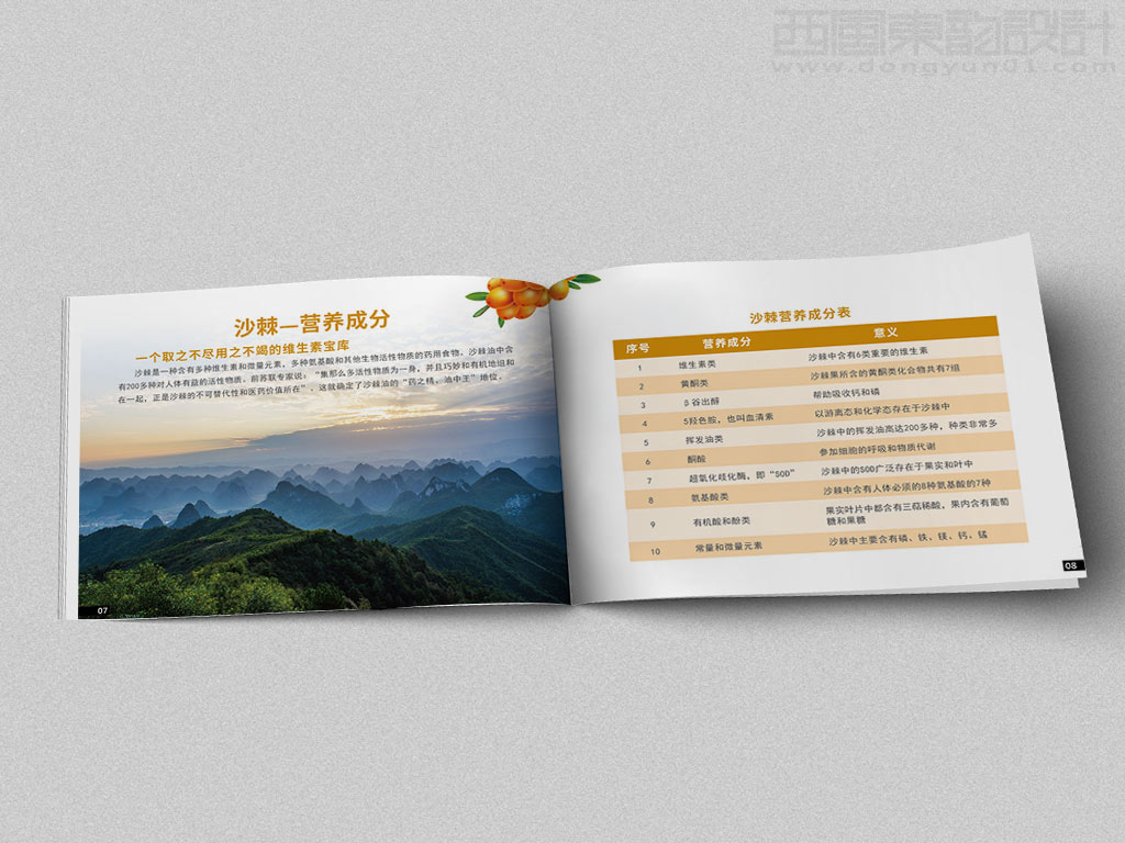 寧波市雷瑞商貿(mào)公司棘行天下產(chǎn)品手冊設(shè)計(jì)之沙棘的營養(yǎng)成分內(nèi)頁設(shè)計(jì)