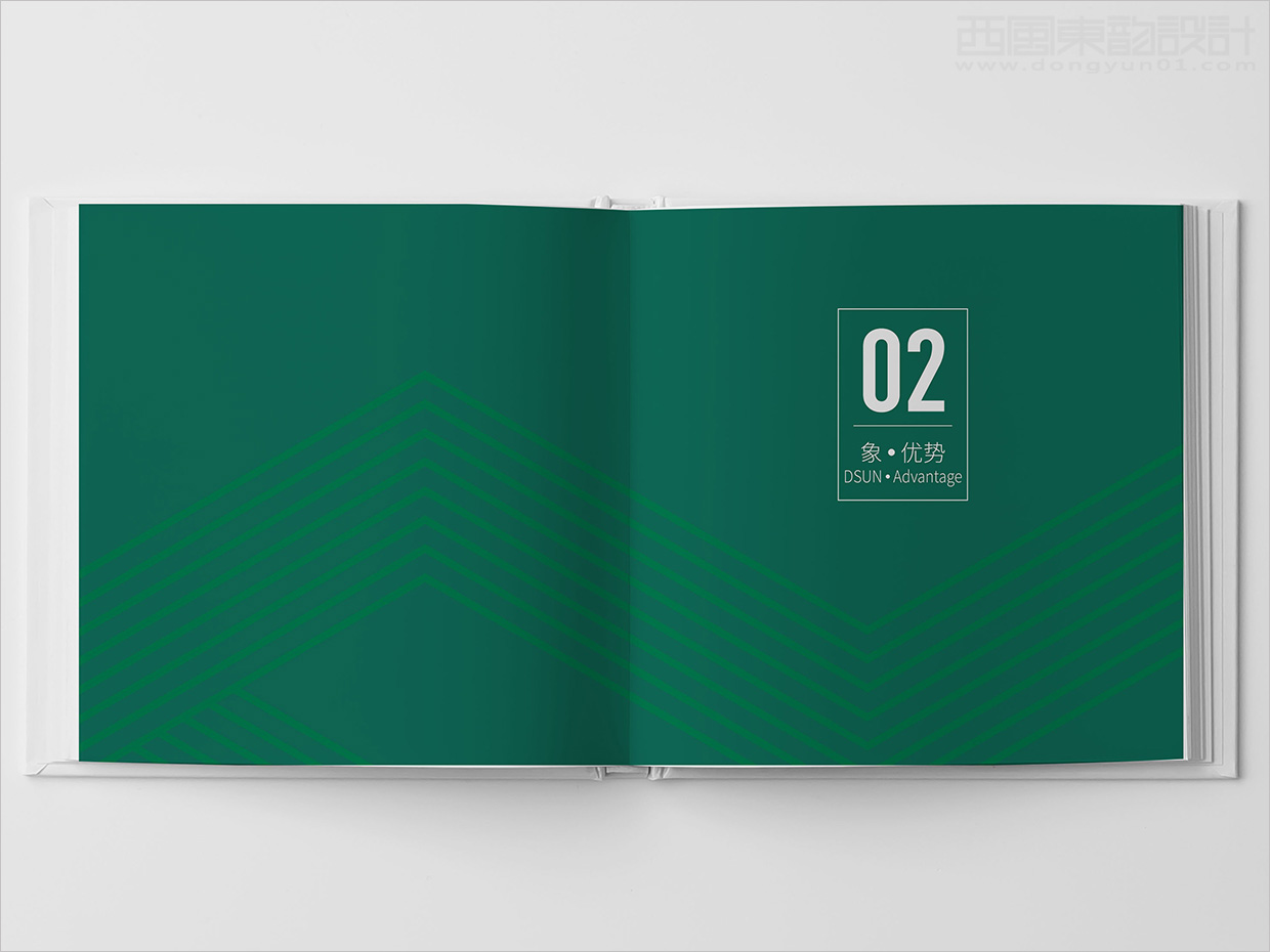 山東日照大象房屋建設公司畫冊設計之優(yōu)勢版塊形象頁設計
