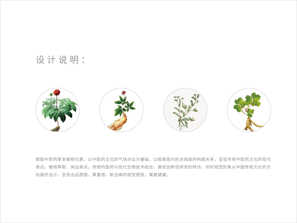 先聲藥業(yè)氣血康口服液包裝設(shè)計(jì)之設(shè)計(jì)說(shuō)明
