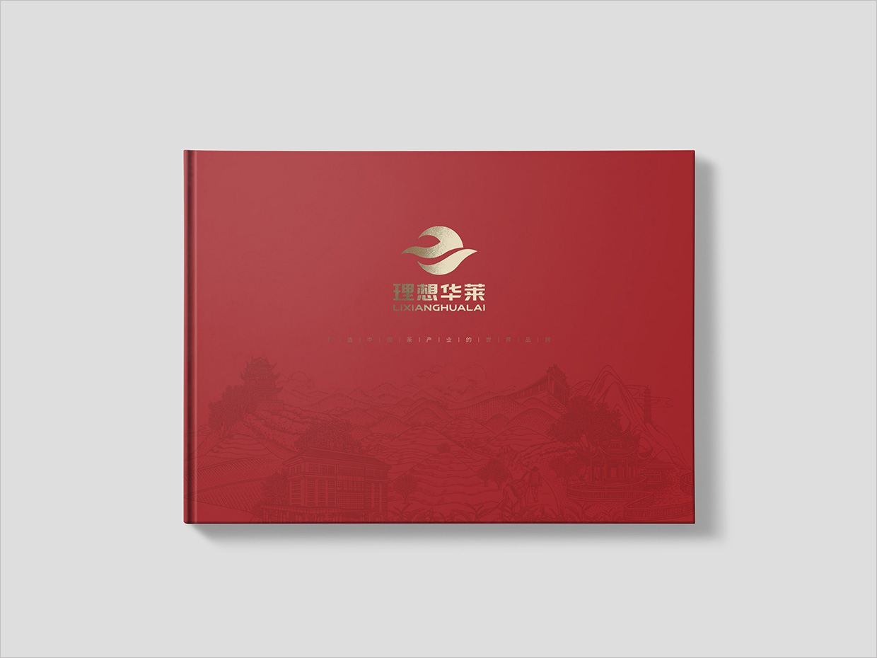 理想華萊科技集團(tuán)公司畫冊設(shè)計之封面設(shè)計