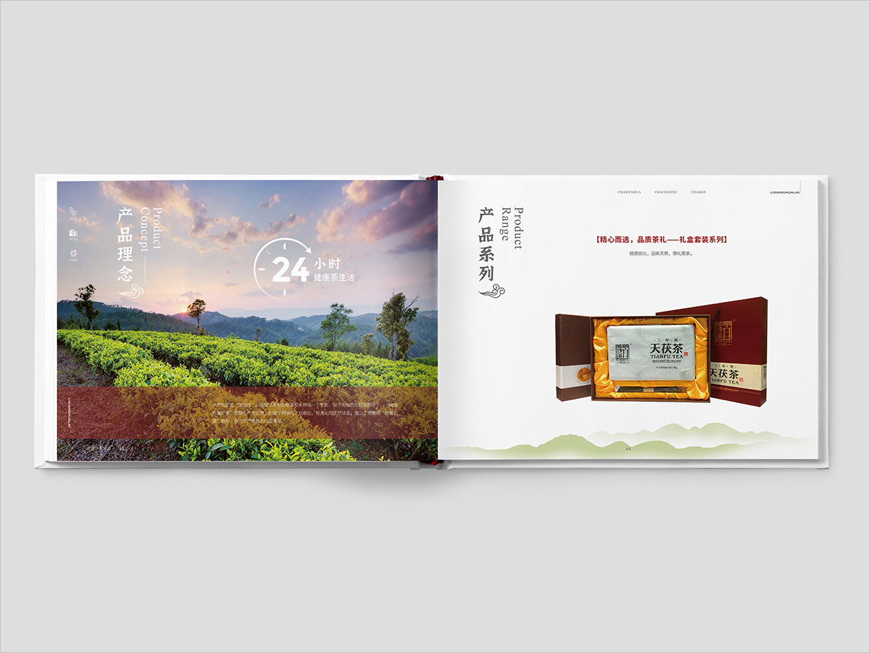 理想華萊科技集團(tuán)公司畫冊設(shè)計之產(chǎn)品介紹頁面設(shè)計