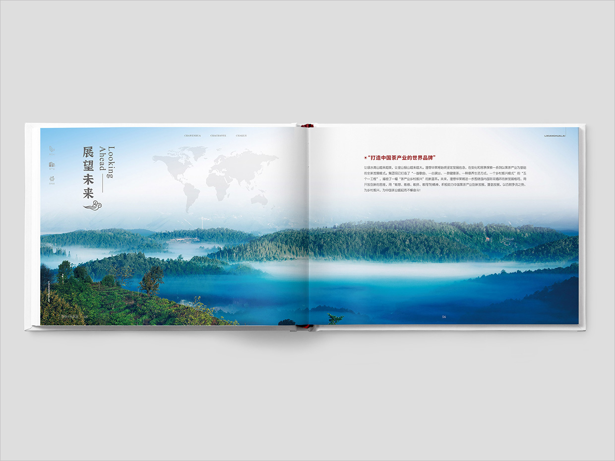 理想華萊科技集團(tuán)公司畫冊設(shè)計之展望未來頁面設(shè)計